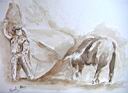 05-Larga cambiada de rodillas1-25x35.jpg
